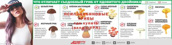 индика Балабаново