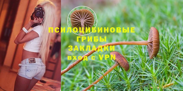 ALPHA-PVP Аркадак