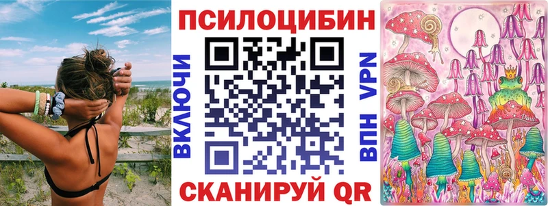 купить наркотики сайты  Белозерск  Галлюциногенные грибы мицелий 